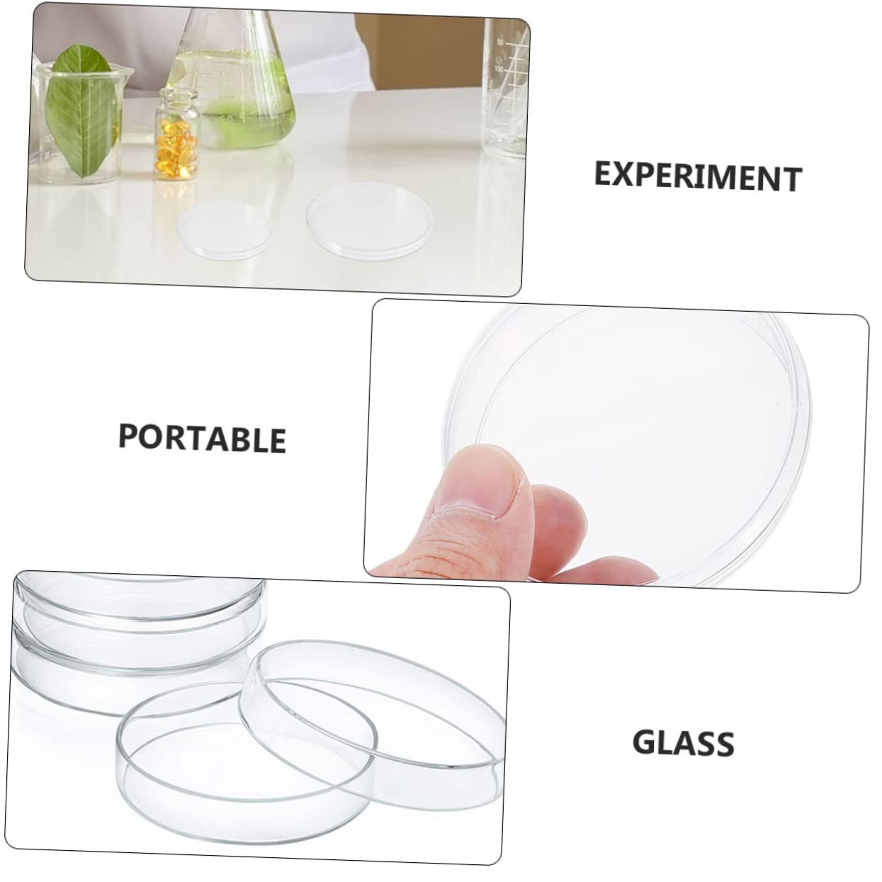 Borosilikat Glas Petrischalen 5 Stück für Schulexperimente | Klarglas Ausführung, Transparentes Design, Geeignet für Biologische Forschung und Laborversuche