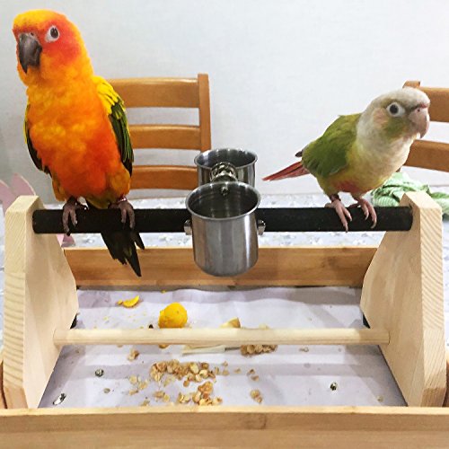 Image of QBLEEV Parrot Play Wood Stand, Bird Grinding Perch Table Platform with Cups | Birdcage stands with feeder dish cup, portable table playstand for small cockatiels, conures, parakeets, finch, easy assembly