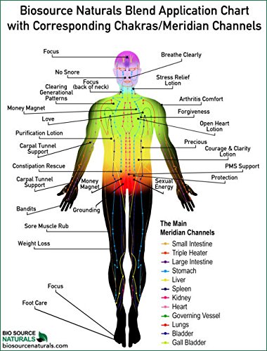 Money Magnet Essential Oil Roll On 9 Ml / 0.3 Oz Aromatherapy For Law Of Attraction & Abundance #TOP5