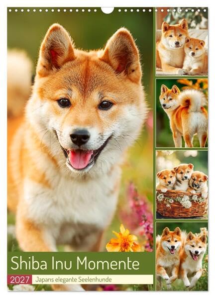 Shiba Inu Momente. Japans elegante Seelenhunde (Wandkalender 2027 DIN A3 hoch), CALVENDO Monatskalender: Stimmungsvolle Bilder, die den Charme und ... schönen Hunde einfangen (CALVENDO Tiere)