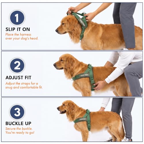 Image of Spark Paws No Pull Front Clip Dog Harness - Easy On, Padded and Lightweight | Two Clips, On in Seconds, Chest Bearing, Australian Style, No Throat Pressure, for Small Medium and Large Breeds