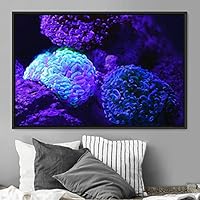 Framed Canvas Wall Art Deep Under Group Jellyfish Marine Life Multicolor Photography Realism Tropical Ultra Whimsical - 16x24 inches