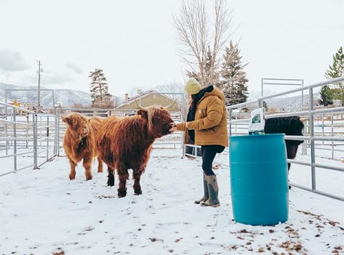 Image of 55 Gallon Blue Tight Head Plastic Drum, BPA Free, UN Rated, 2 inch NPT & 2 inch Buttress Fittings
