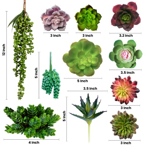 Decorous Succulents Plants Artificial - 14 Premium Fake Succulents Unpotted - Large Artificial Succulent Bulk For Indoor And Outdoor Diy Decor - Fake Cactus Plant - Realistic Faux Succulents #TOP1