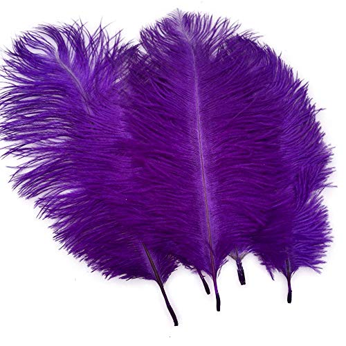Sowder Lot de 20 plumes d'autruche naturels 25–30 cm, Plumes pour table de mariage, décoration de la maison