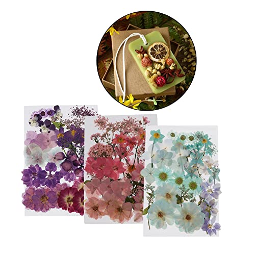 Flores Secas Naturales para Manualidades DIY miniatura 2