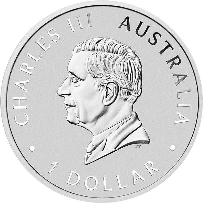 Generisch 2024 Koala 1 Unze Silbermünze, 999,9/1000 Feinsilber, 31,1 Gramm, Münzkapsel