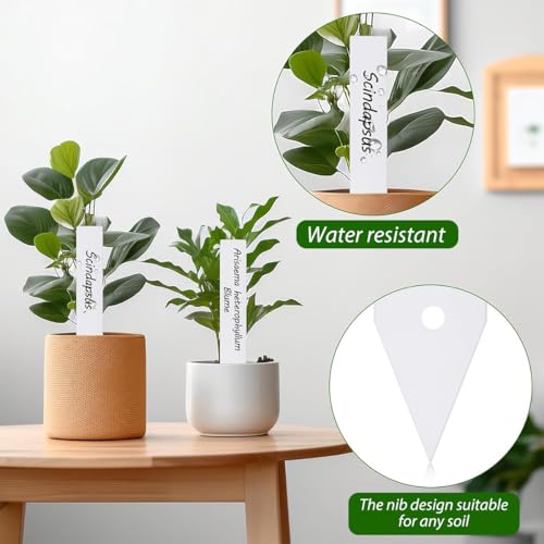 Image of HASTHIP 100Pcs Plant Labels, White PVC Plant Labels, Garden Tags, 4 inch Waterproof Garden Markers for Writing, Insert in Nursery Tags for Seedlings, Pots & Outdoor Plants