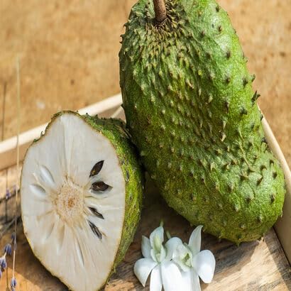 20pieces Green Soursop Fruit Seeds