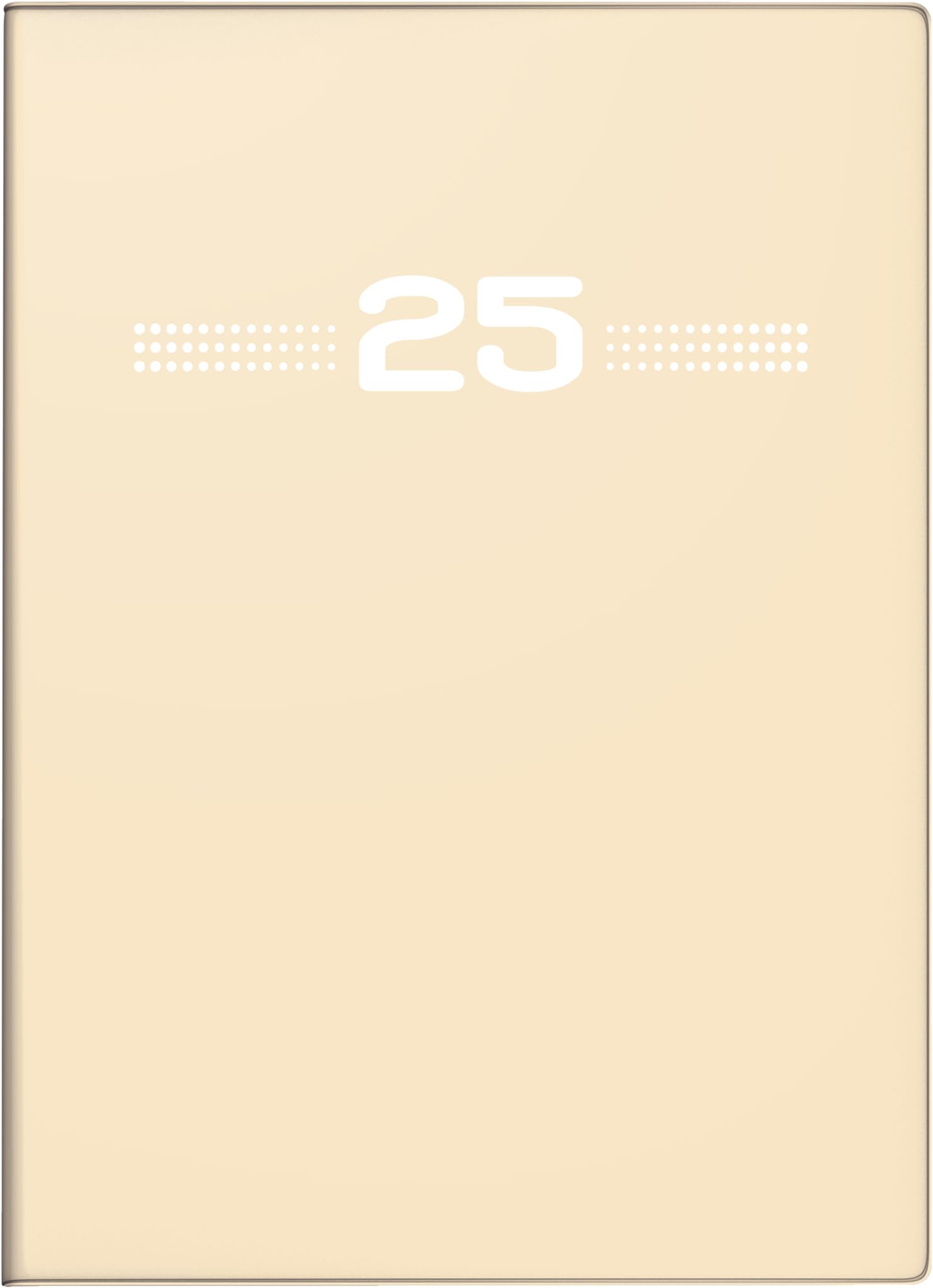 rido/idé Pocket Diary Model Perfect/Technik I (2025), 2 Pages = 1 Week, A6, 144 Pages, Plastic Cover, Sand