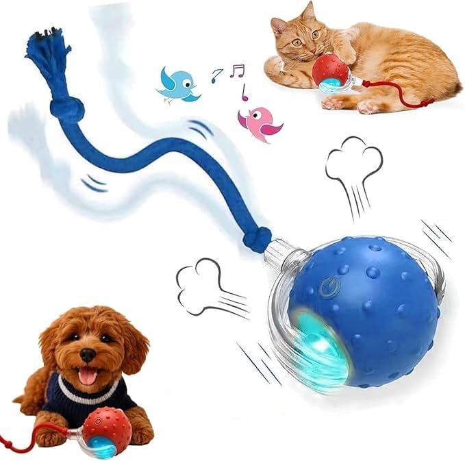 Tiny Fetch Dog Toy,2026 New Tiny Fetch Ball Dog Toy,Interactive Dog Cat Toys Balls,360°Smart Automatic Rolling Electric Dogs Ball Toy,Fast Moving Balls Toys for Pets (Blue)
