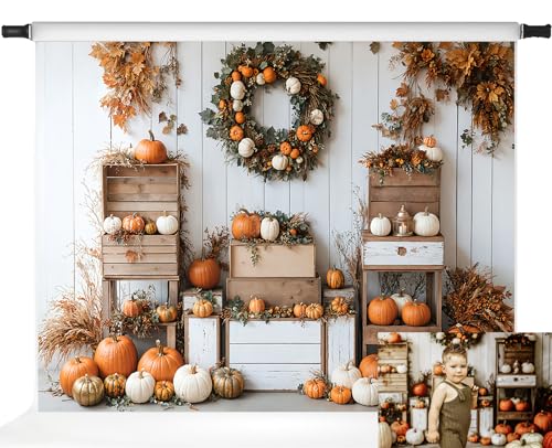 Toile de fond blanche citrouilles Kate pour une décoration de fête d'automne réussie