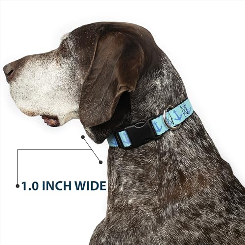 Anclajes con rayas Buckle Down PC-W30122-NL de acabado premium tricolor resistente 7