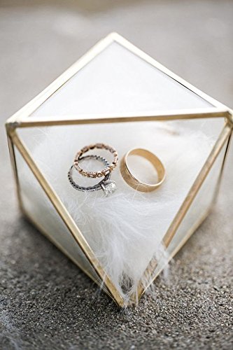 Bella's Garden Mini Gold Geometric Terrarium Jewelry Display Device Wedding Ring Box Brass Home Decor Container (Small)