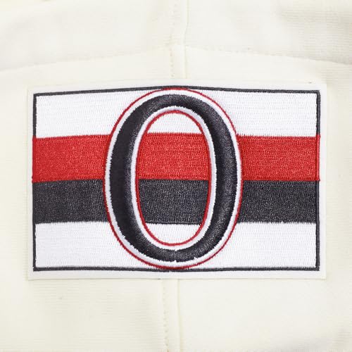 Image of Pro Standard Men's NHL Retro Classics Brushed Back French Terry Pull Over Hoodie