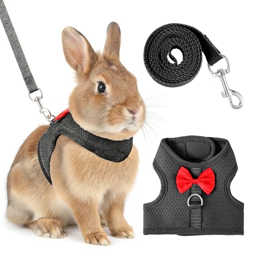 XLIUAX oj[n[lXƃ[VZbg \tg ʋC rbg[VxXg 킢{bVt ߉\ȃxXg oj[[V EH[LOMAp Eoh~ qL tFbg bgp (ubNM)