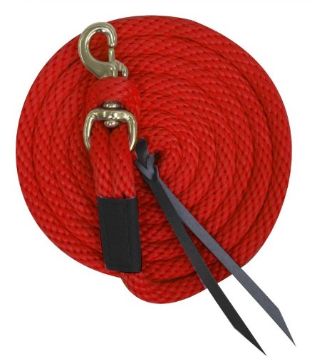 Red Poly Lead Rope Leather Ends 10' w/Brass Snap Showman