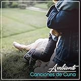  El Picnic De Osos De Peluche