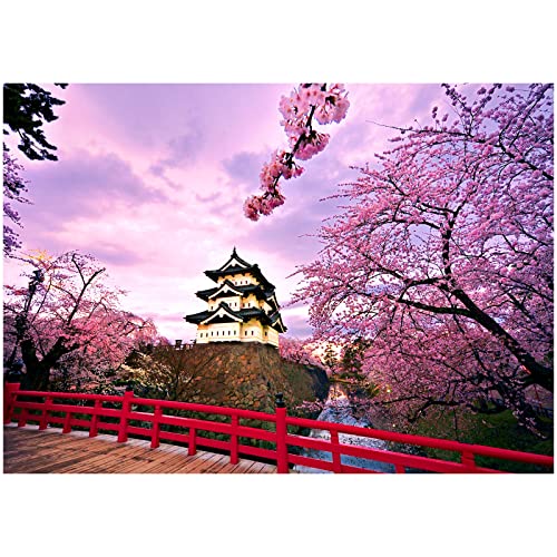 Kit fai da te per pittura a mosaico 5D, diamond