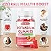 Potassium Gummies, Potassium Bicarbonate Supplement for Adults & Kids, Potassium Supplement for Electrolyte Balance & Muscle Heath, Sugar-Free, Strawberry Flavor, 60 Count