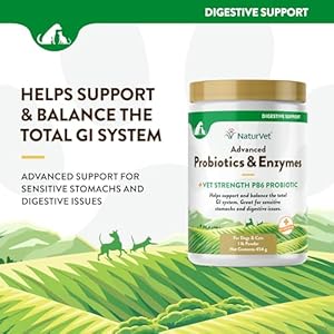 NaturVet – Advanced Probiotics & Enzymes – Plus Vet Strength PB6 Probiotic | Supports and Balances Pets with Sensitive Stomachs & Digestive Issues | for Dogs & Cats (1 lb)