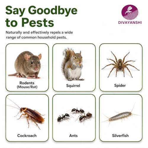 Image of Divayanshi Rat Repellent Tablets for Car Engine & Home | Peppermint Oil Mouse & Rodent Repellent | Non-Toxic Rat Deterrent for Car, Bike, Truck, Garage & Warehouse | Pack of 10