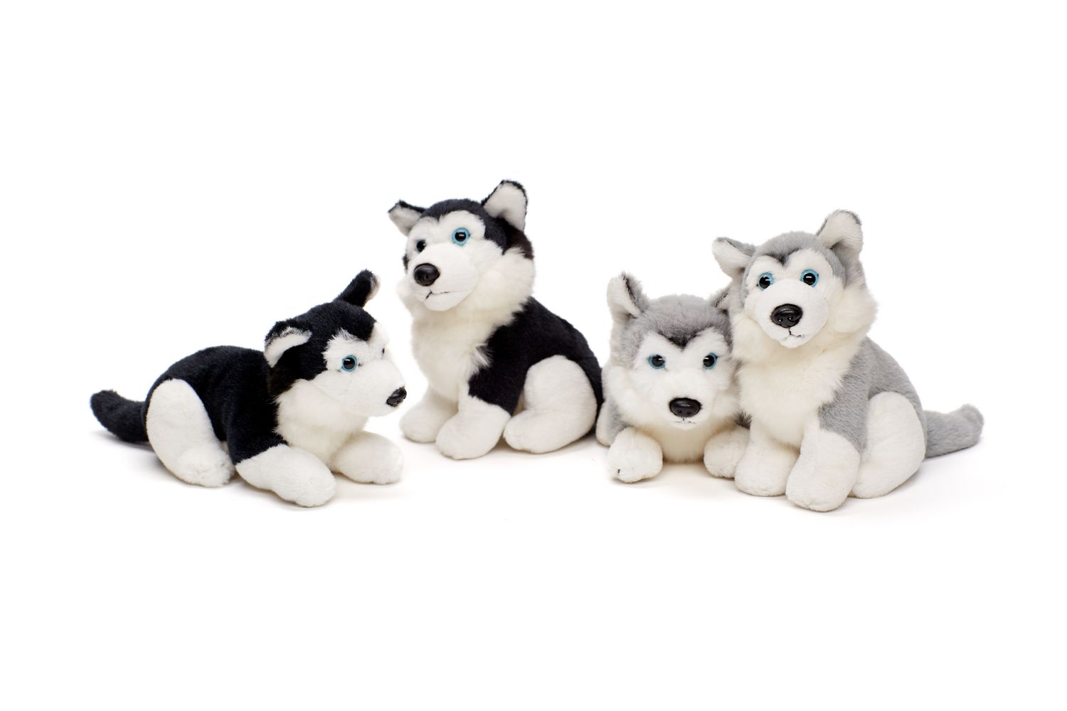 Trudi Plüschtier "Puppy Husky" Größe M - 19x28x28 Cm, Weicher Kuschelhund, Hochwertiges Material, Maschinenwaschbar, Italienisches Design, Geschenk Für Kinder Und Erwachsene