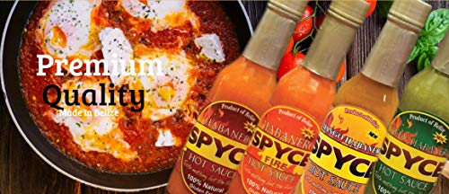 Spyce Habanero Hot Sauce Gift Set Variety Pack, Vegan, Gluten Free, Low Sodium, Non Gmo, No Msg, No Sugar, No Filler (4 - 2 Ounce Bottles) #TOP2