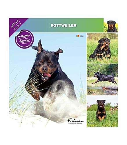 Preisvergleich Produktbild Rottweiler 2021 - Kalender Affixe