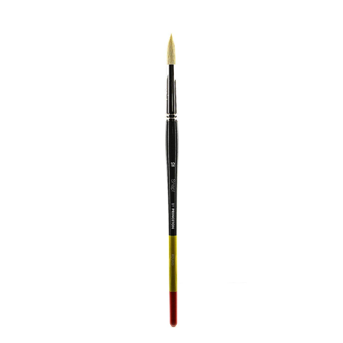 Princeton Snap! 9700R-12 Snap Brush Bristle, 12, Multicolor
