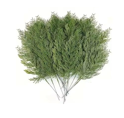 Image of SPHINX Artificial Pine Sticks Branches,Conifer,Pine,Cedar,Cypress,Ambrosia Needles for Home Decor, Festival Decor, Trousseau, Gift Packing, Tray, Basket, DIY Crafts,Celebrations- (5, Cedar,31 cm)