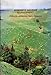 Intensive Grazing Management: Forage, Animals, Men, Profits