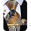 gold blue paisley