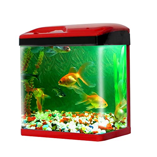 JAINSONS PET PRODUCTS Fish Aquarium Small Tank-15 LTR (Colour May...