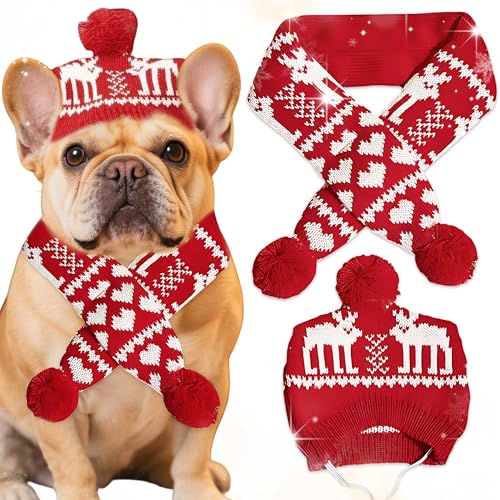 Cuello para perro pequeño con cuerna navideña y bufanda roja