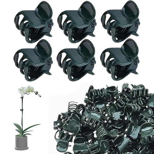 CACERIAWM Plants Orchid Support Clips Plant Clips Orchid Clips Flower Vine Clips for Supporting Stems Vines Stalks Climbing Plant Grow Upright 30PCS Tiny Size