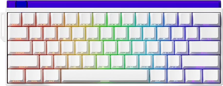 AKKO Veekos Shine60 HE%60 Glare Manyetik Switch 8K Hz Hall Effect Hotswap RGB  ngilizce Gaming Klavye