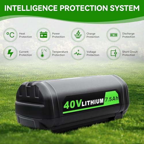 Cheerlark Battery - Protection System