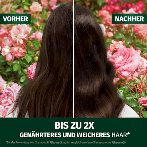 Herbal Essences Blütensanft Shampoo mit Rosenduft 350ml. Von stumpfem Haar zu seidig glänzendem Haare, Mit Rosenessenz, Inhaltsstoffe natürlichen Ursprungs, Vegan, ohne Silikone