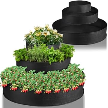 Strawberry Plant Spacing Raised Bed - What You Need to Know for Success 1 strawberry plant spacing raised bed