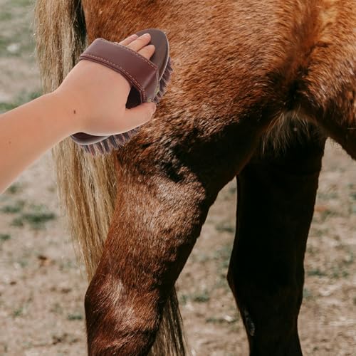 Cepillo para caballos LOORGVEL de mango ovalado con fibras mixtas de madera 6
