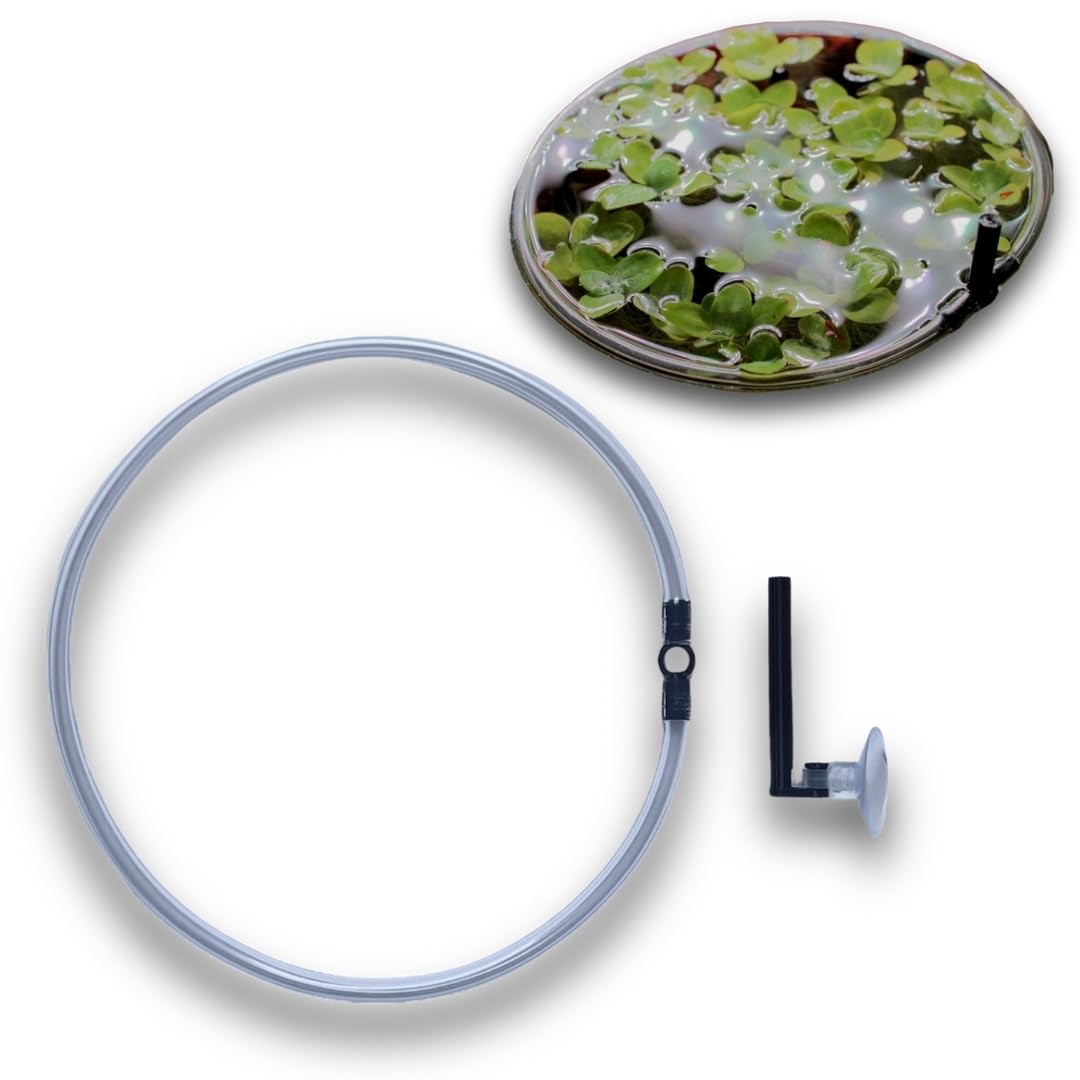 Schwimmring mit Saugnapf Befestigung SChwimmpflanzen Abgrezung Futterring Aquarium (10cm)
