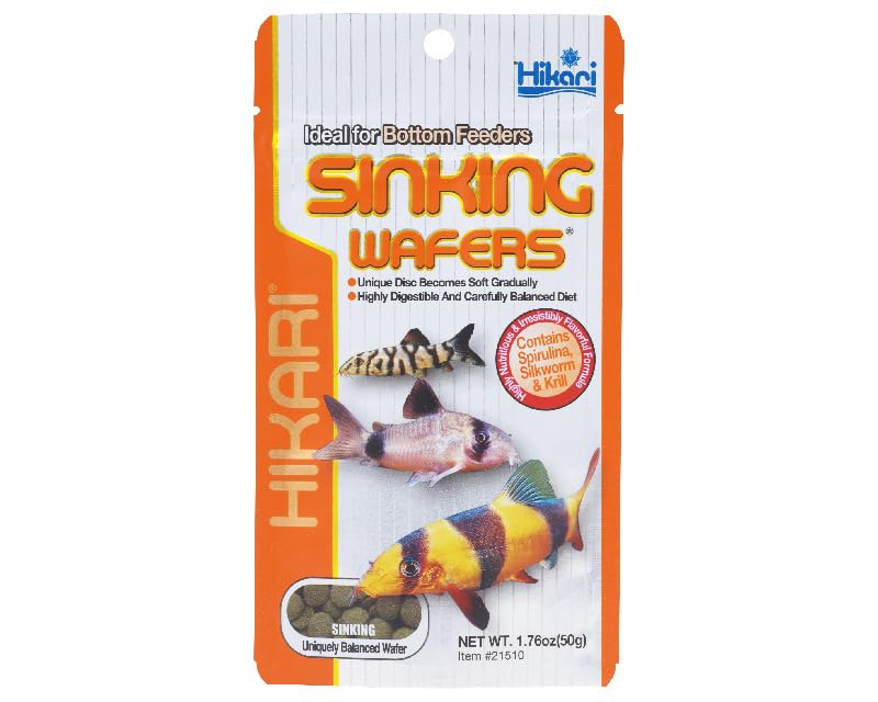 Hikari Tropical Sinking Wafers 50g (B0D423SYN1) Amazon Price History, Amazon Price Tracker