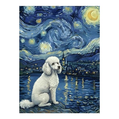 Peinture diamant Caniche Nuit étoilée kit loisirs créatifs adulte