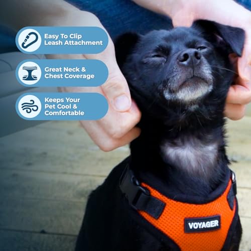 Image of Best Pet Supplies Voyager Step-in Lock Pet Harness w Reflective Pet Leash Combo Set with Neoprene Handle 5ft - Supports Small, Medium and Large Breed Puppies /Cats - Orange /Black Trim Set, S