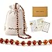 Cici's Story Baltic Amber Necklace (14 Inches, Cognac) - Certified Authentic Baltic Amber