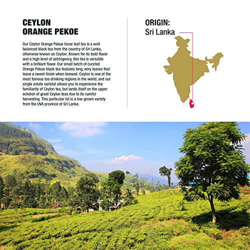Tiesta Tea - Ceylon Orange Pekoe Black Tea, Loose Leaf Black Tea, High Caffeine, Hot & Iced Tea, 3 Oz Tin - 50 Cups, Single Origin Premium Black Loose Leaf Tea From Sri Lanka, 100% Pure Unblended #TOP6
