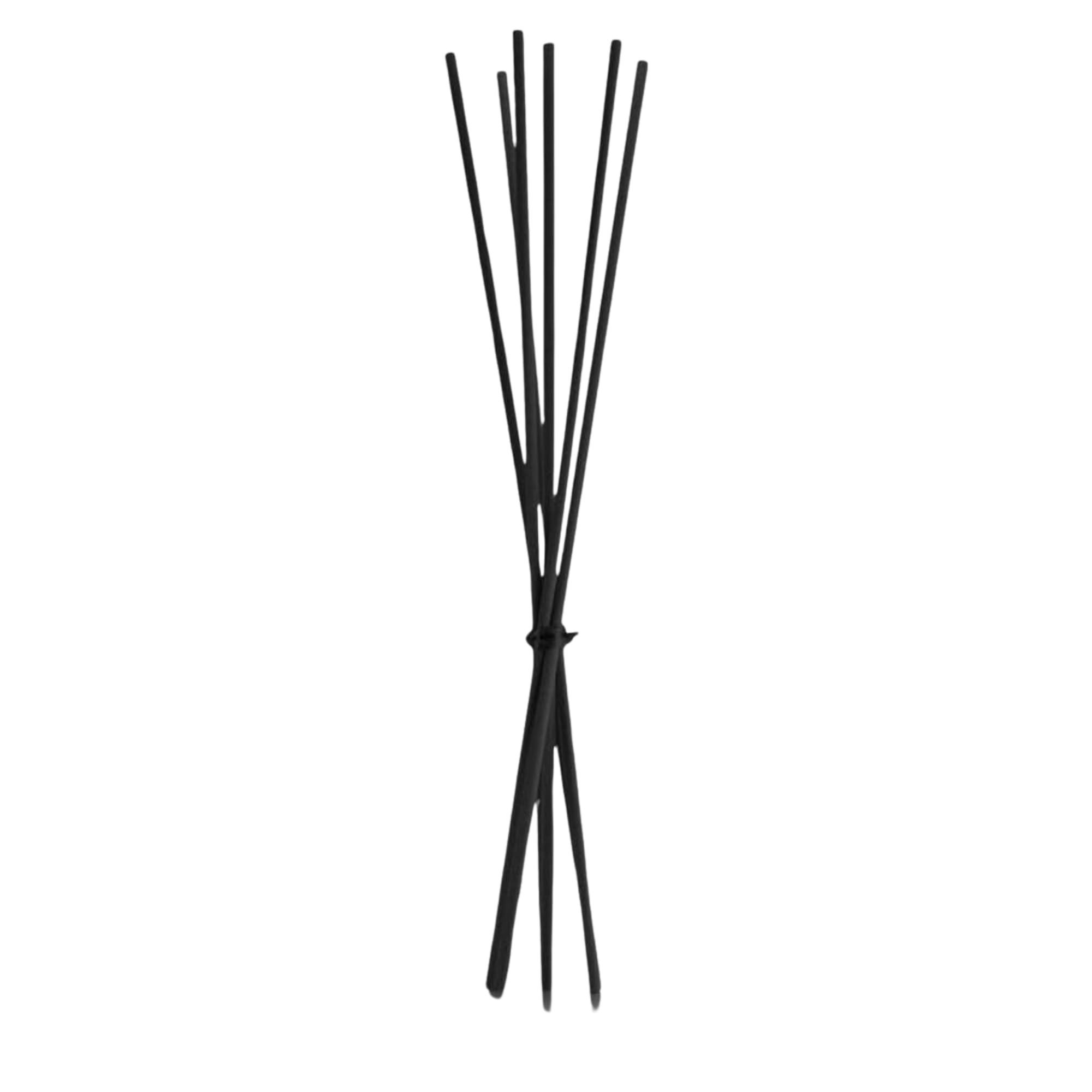 Felce Azzurra Diffusore Ambiente a Bastoncini, Fragranza Classico Original, Formato 120 ml (12 Unità) + Ricambio 10 Bastoncini Per Diffusori Neri