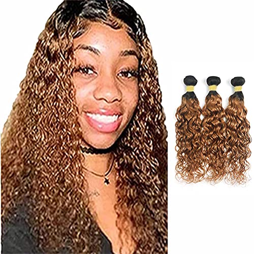 Ombre Bundles 1b 27 Hair Bundles Water Wave Bundles Brazilian Remy 3 Bundles Human Hair Black To Honey Blonde 2 Tone Bundles Water Wave Bundles 14 16 18 Inch