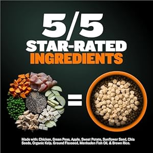 Bully Max Excessive Efficiency Premium Dry Canine Meals 15 lbs & Freeze-Dried Uncooked Canine Meals Hen Toppers (2 Luggage) – Final Muscle Achieve Canine Vitamin Bundle for Small & Massive Breed Puppies & Grownup Canine